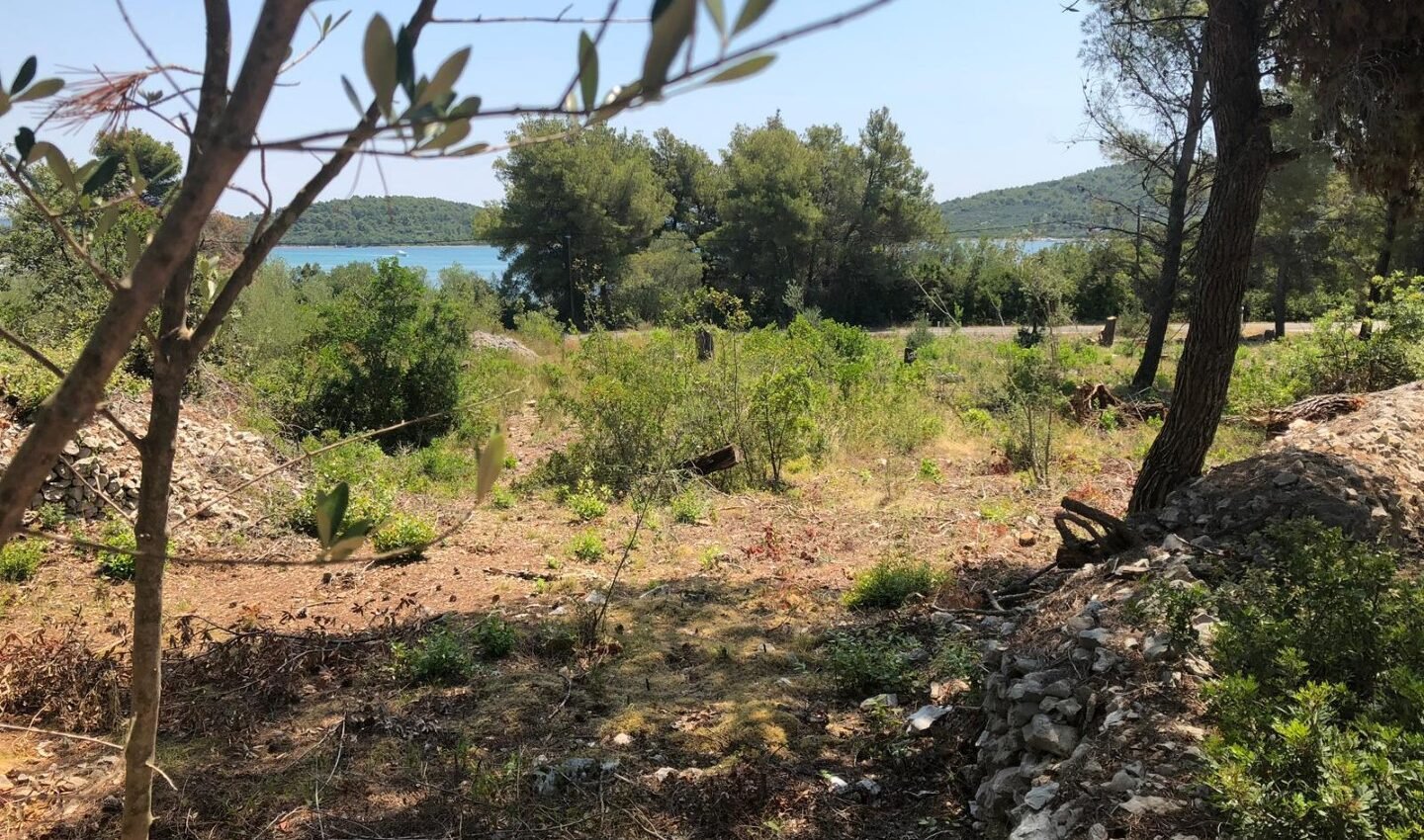 Grundstück L246 – Insel Ugljan, Kukljica Grundstück L246 – Insel Ugljan, Kukljica