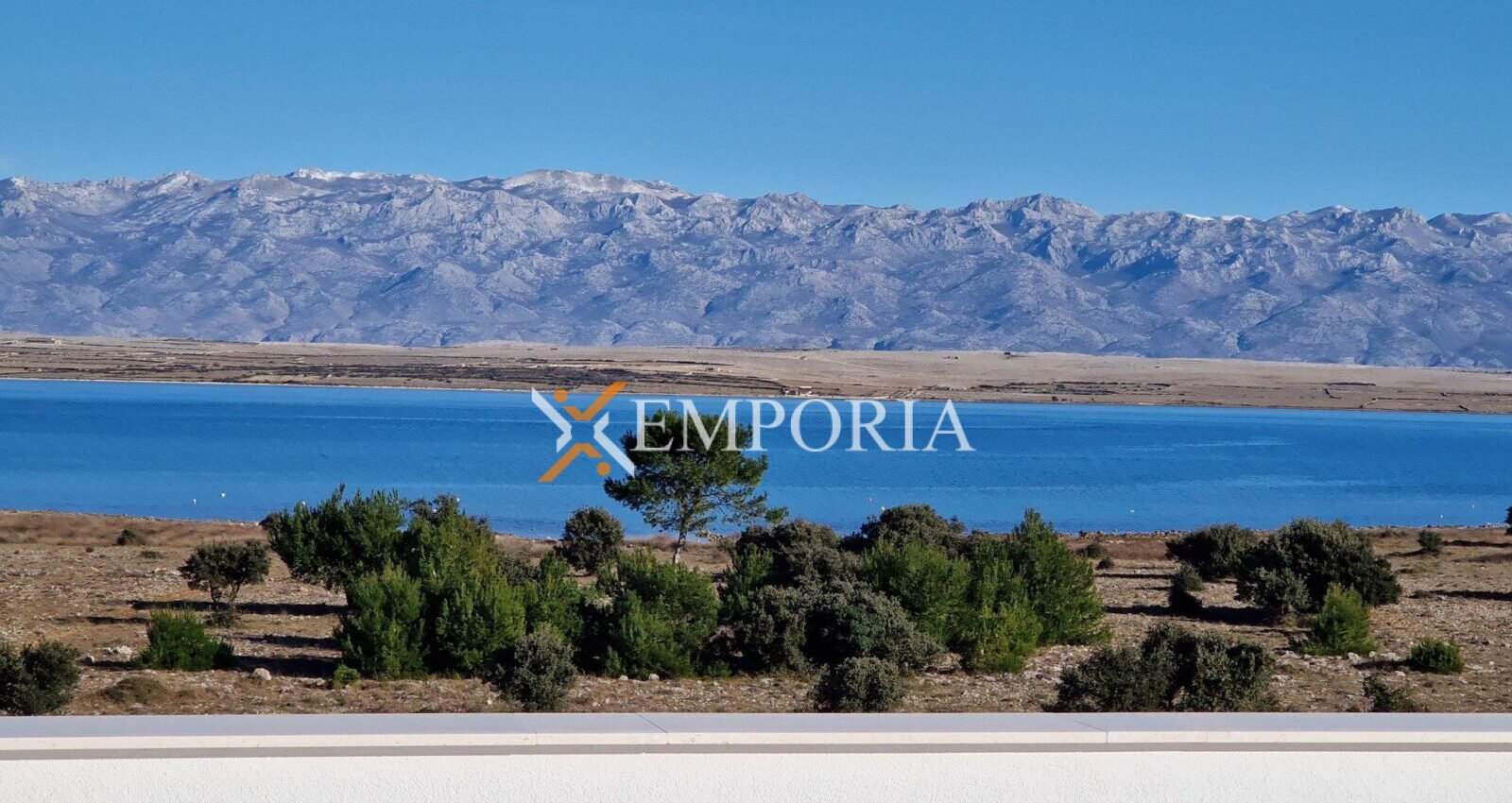 Apartment A1099 – Vir