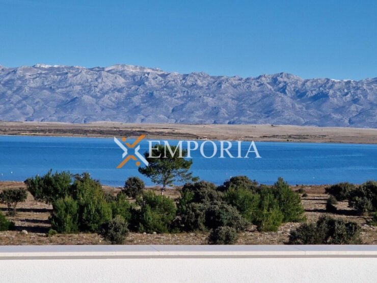 Apartment A1099 – Vir
