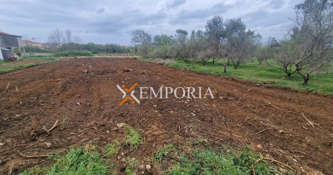 Grundstück L403 – Privlaka