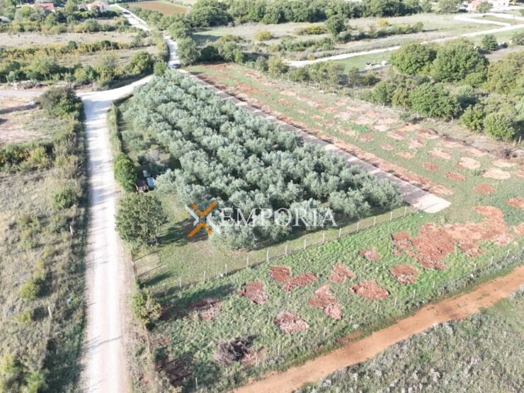 Grundstück L511 – Poličnik, Murvica