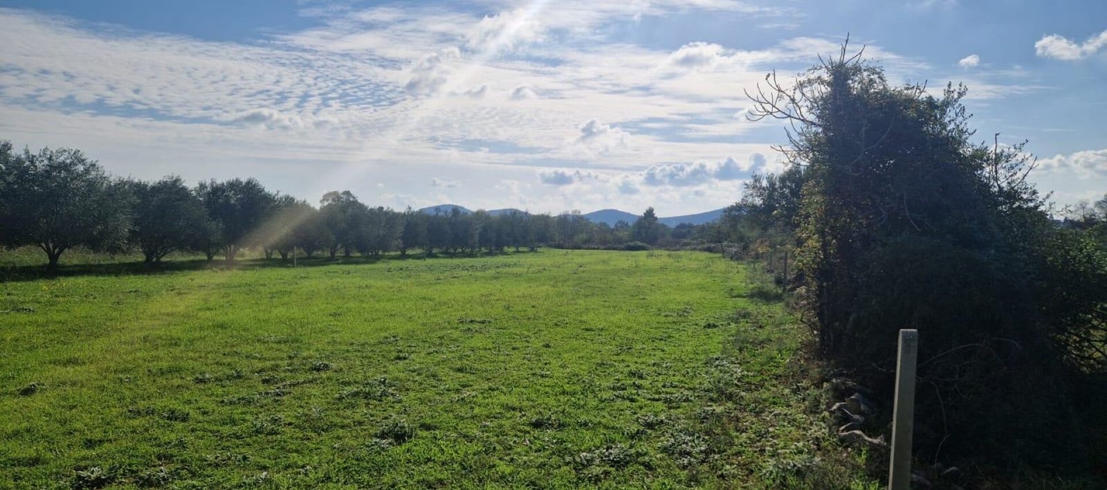 Grundstück L543 – Galovac