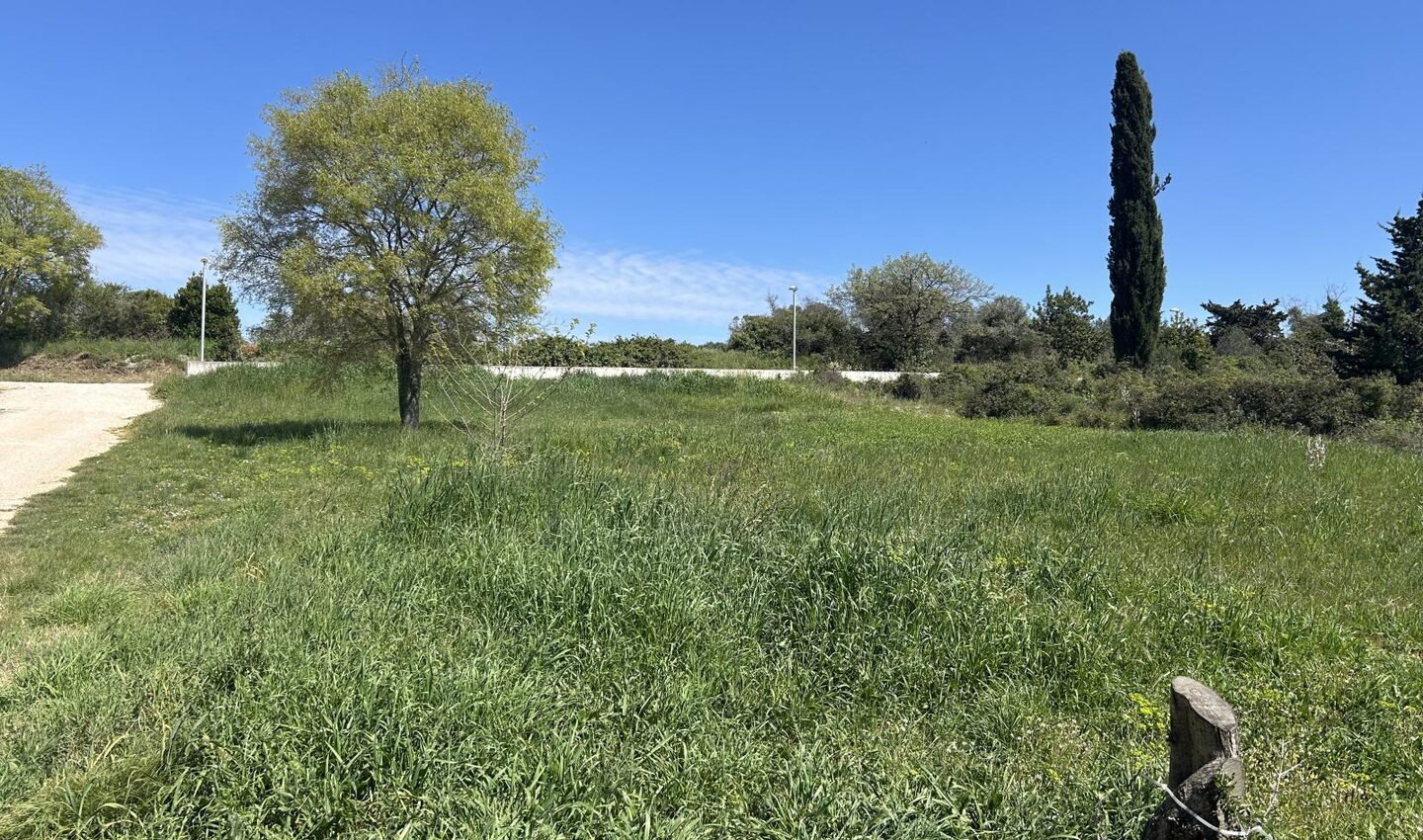 Grundstück L593 – Zadar, Diklo Grundstück L593 – Zadar, Diklo